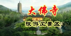 荡妇啪啪免费午夜视频中国浙江-新昌大佛寺旅游风景区